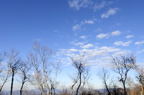 D2014047_028H