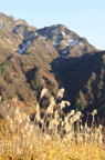 D2014047_039V