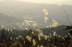 D2014047_041H