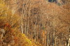 D2014047_047H