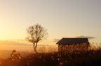 D2014047_062H