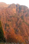 D2014047_064V
