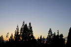 D2014047_065H