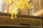D2014048_011H