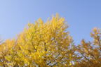 D2014048_013H