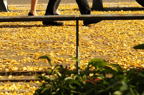 D2014048_023H