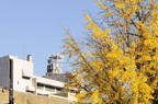 D2014048_024H