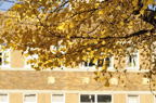 D2014048_034H