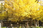 D2014048_041H