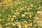 D2014048_049H