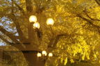 D2014048_061H