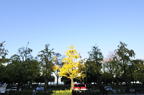 D2014049_004H