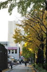 D2014049_011V