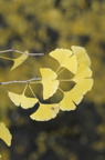 D2014049_028V