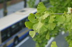 D2014049_034H