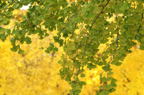 D2014049_046H