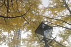D2014049_058H