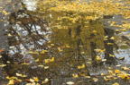 D2014049_062H