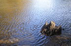 D2014050_002H