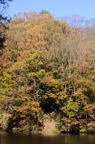 D2014050_015V