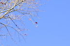 D2014050_031H