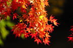 D2014050_057H