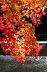 D2014050_059V