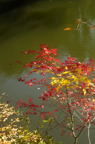 D2014050_068V
