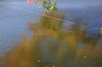 D2014050_073H