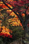 D2014052_019V