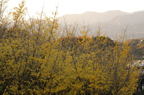 D2014052_036H