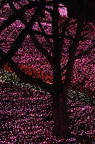 D2014053_028V