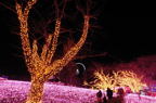D2014053_033H