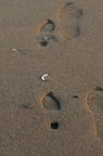 D2014057_024V