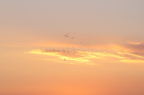 D2014057_041H