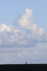 D2015001_014V