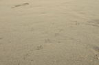 D2015002_047H