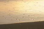 D2015002_054H