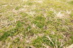 D2015002_059H