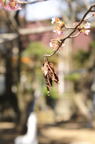 D2015010_035V