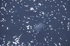 D2015011_108H