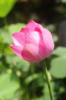 D2015024_044V
