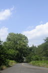 D2015026_001V