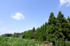 D2015026_067H