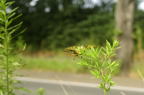 D2015026_081H