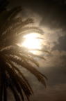 D2015033_033V