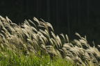 D2015034_061H