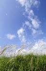 D2015034_071V