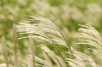 D2015034_094H