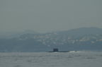 D2015036_173H